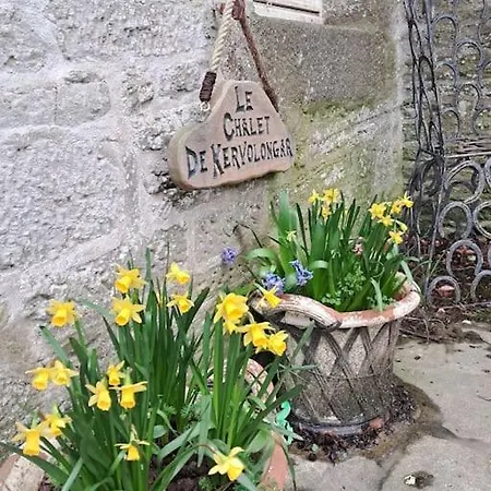 Le Gite Du Chateau Kervolongar Garlan Exterior photo